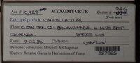 Image Associated With the Occurence